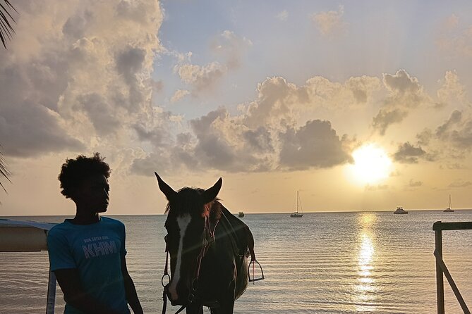 2 Hour Horseback Riding Sunset Tour with Dore's Riding Stable - How much value do you get for $120?