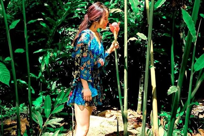 A Taste of Fond Doux Private Walking Tour - Listening for St. Lucia’s indigenous birds