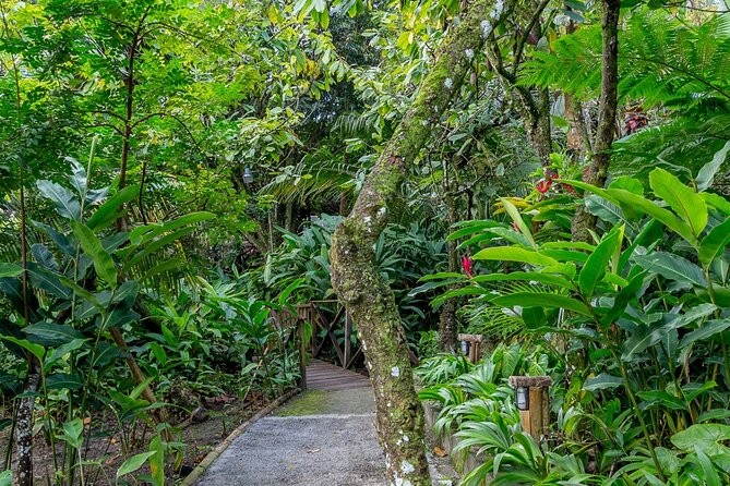 A Taste of Fond Doux Private Walking Tour - Fitness, weather, and practical planning
