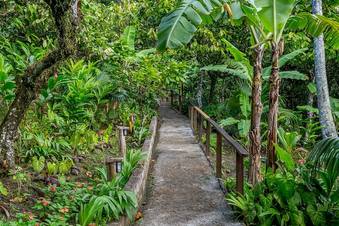A Taste of Fond Doux Private Walking Tour - Fruit trees, flowers, spices, and vegetables