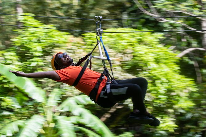 Adrena-Line Zipline, St. Lucia - What to bring and what to expect on the day