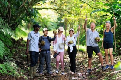 ATV Rainforest Adventure in St. Lucia