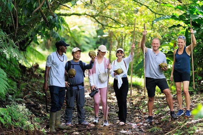 ATV Rainforest Adventure in St. Lucia - The rainforest ride and its rougher moments