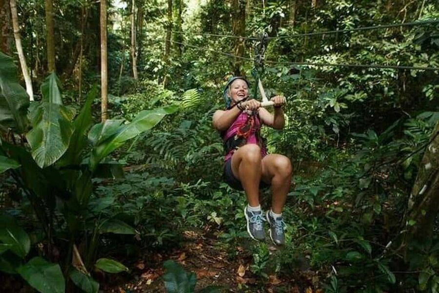 Babonneau/Castries: Rainforest Zip Line, Tram, and Hike Tour - Key Things to Know Before You Book