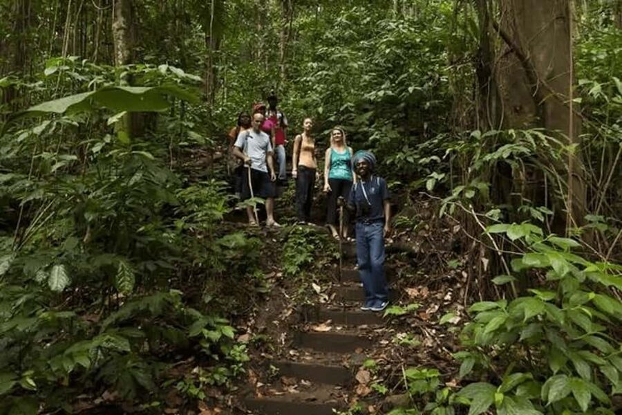 Babonneau/Castries: Rainforest Zip Line, Tram, and Hike Tour - Three Ways to See St. Lucia’s Rainforest