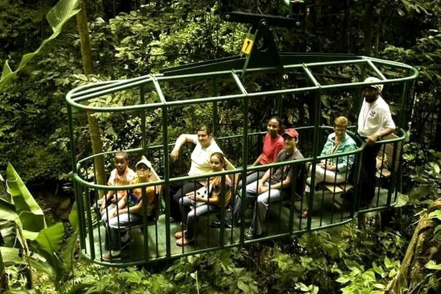 Babonneau/Castries: Rainforest Zip Line, Tram, and Hike Tour - The Aerial Tram Sets the Pace