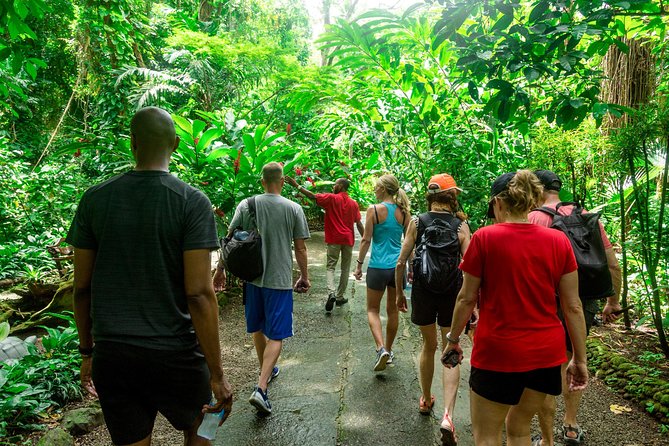 Best of Both Worlds Land and Sea Adventure - Soufriere and the Pitons Photo Stop
