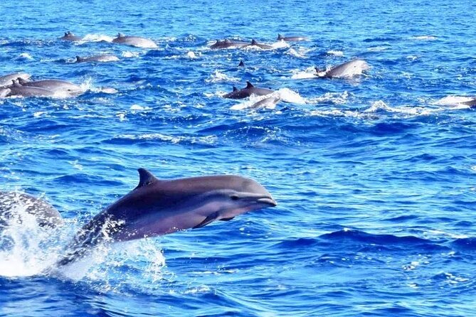 Best Of Full-Day Snorkeling & Beach Excursion with lunch & drinks - Adding the mud baths, waterfall, and Soufriere