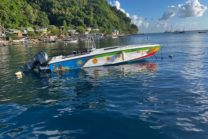 Best Of Full-Day Snorkeling & Beach Excursion with lunch & drinks - Coral gardens, Sugar Beach, and the turtle reef