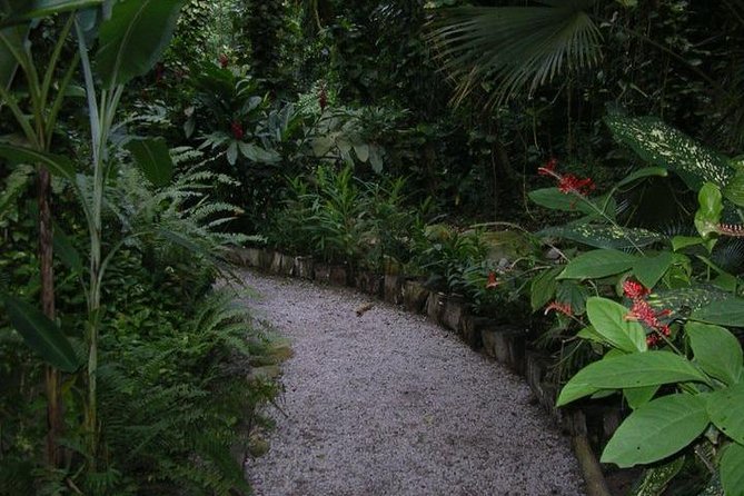 Best Soufiere Round the Island Tour - Why this private St. Lucia tour works