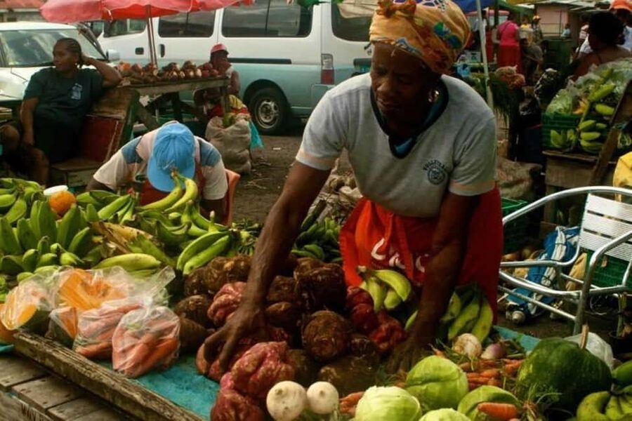 Castries: Guided City Architecture and Castries Market Tour - Reading Castries through its 19th-century buildings