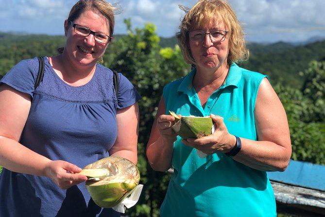 Cruise Excursions in St. Lucia - Diamond Falls Botanical Gardens in 45 minutes