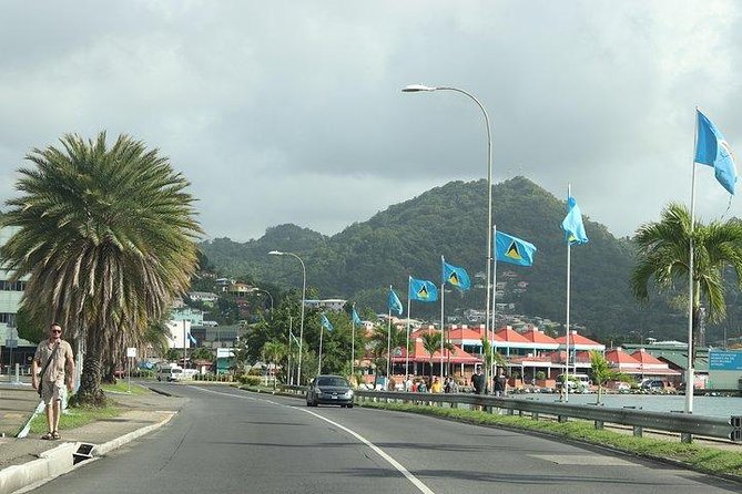 Cruise Ship - On Island for a Day Excursion - A private day from Castries Harbour