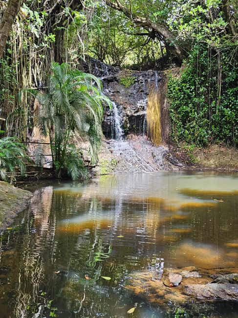 Customized St Lucian Private Island Tour - Who will enjoy this tour most