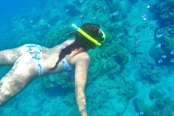 Dash and Splash Snorkel Adventure St Lucia - Who will enjoy this outing most