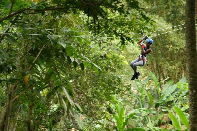 Day of Adventure - Zipline and Hike or Bike - Quick takeaways for planning your day