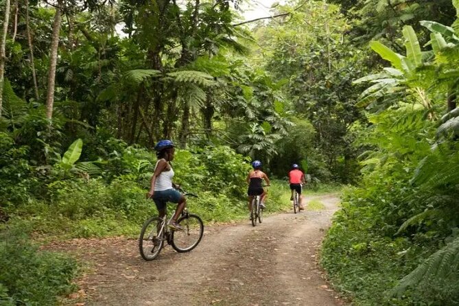 Day of Adventure - Zipline and Hike or Bike - How the $126.93 price measures up