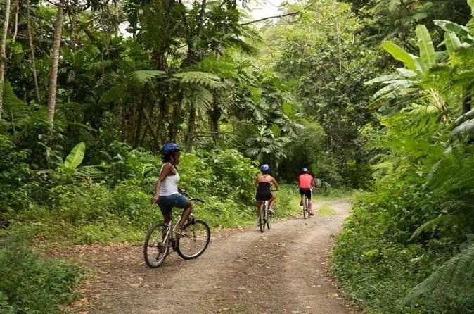 Day of Adventure - Zipline and Hike or Bike - Who will enjoy it, and who should think twice