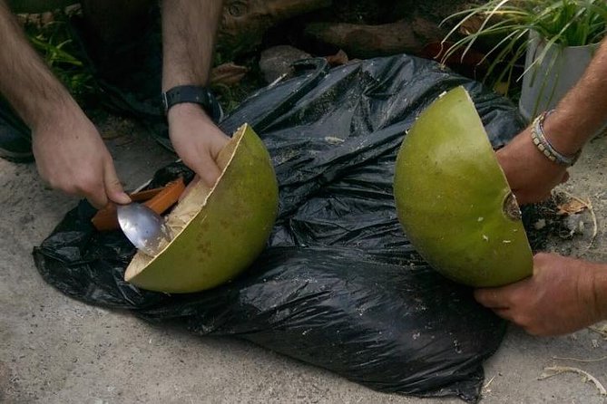 DIY Craft Your Own wooden Bowl : from a calabash fruit! - Choosing the fruit and starting the bowl