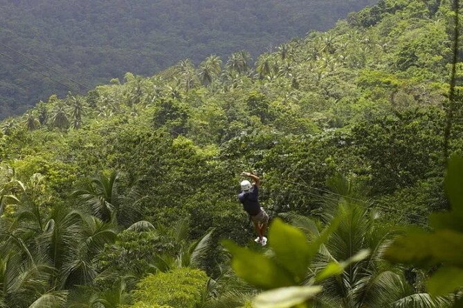 Drive and Fly - Buggy and Zipline - Key points to know before booking