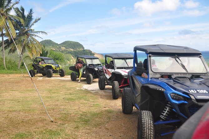 Drive and Fly - Buggy and Zipline - Why this St Lucia combination works