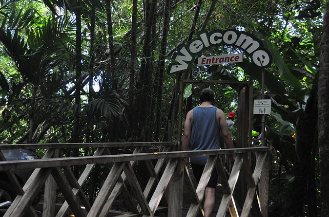 Drive and Fly - Buggy and Zipline - Reaching Treetop Adventure Park