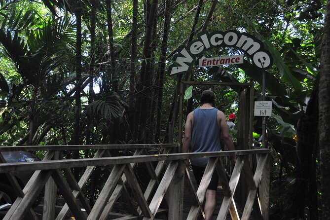 Drive and Fly - Buggy and Zipline - Twelve zip lines through the rainforest