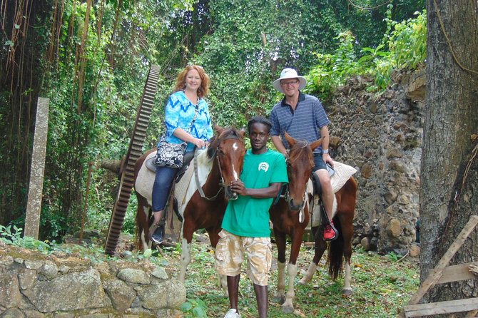 East Coast Horseback Riding & Waterfall Excursion - Quick Points Before You Book