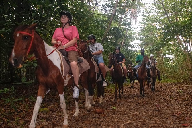 East Coast Horseback Riding & Waterfall Excursion - What This East Coast Ride Is Really Like