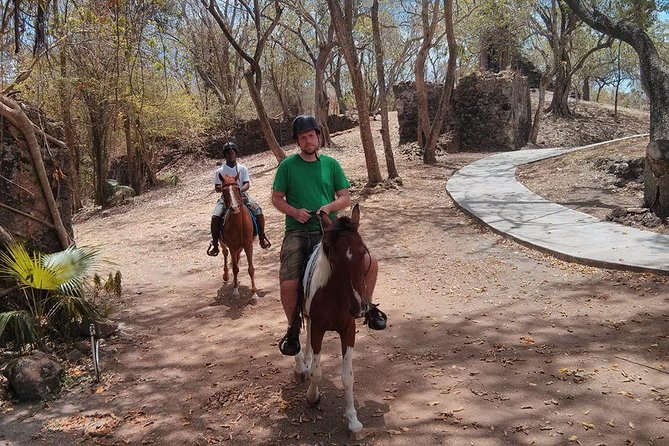 East Coast Horseback Riding & Waterfall Excursion - Is the $160 Price Fair?