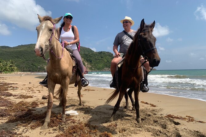East Coast Horseback Riding, Waterfall & Soufriere Private Tour - A full day that covers St. Lucia’s contrasts