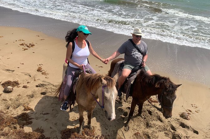 East Coast Horseback Riding, Waterfall & Soufriere Private Tour - The private format and guide support