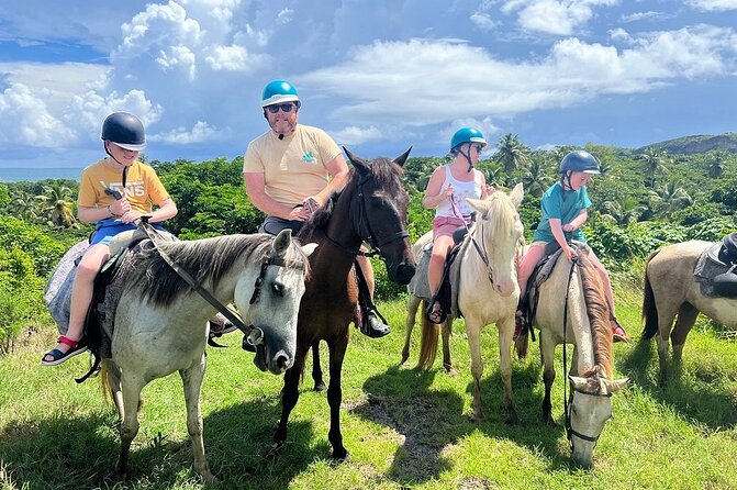 East Coast Horseback Riding, Waterfall & Soufriere Private Tour - Who should book this excursion?