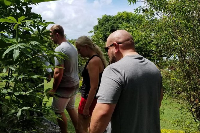 Essence of St Lucia Heritage Experience - How the 2-hour-30-minute schedule works