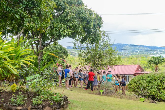 Essence of St Lucia Heritage Experience - The mini museum fills in the human story