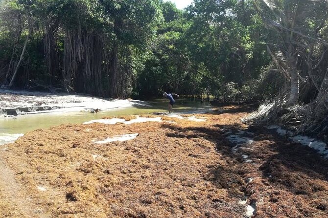 Extreme Outback Tour in St Lucia - Why a fat bike is a good fit for St. Lucia