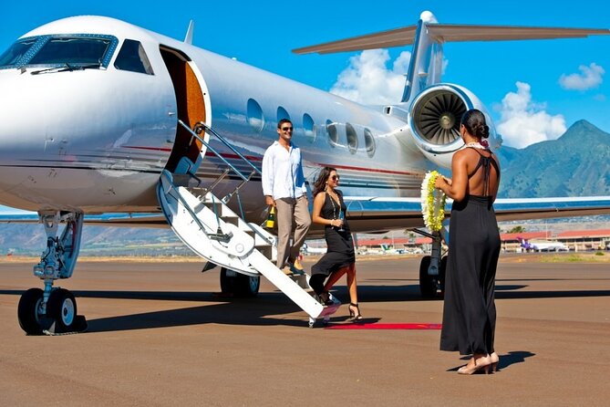 Fast Track On Arrival at St Lucia Airport & Round Trip Transfer - A private drive instead of a crowded shuttle