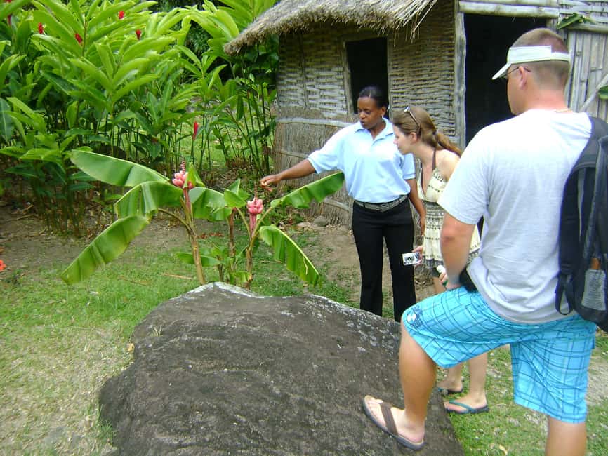 From Castries: Full-Day Catamaran Tour to Soufriere - Marigot Bay and the final cruise