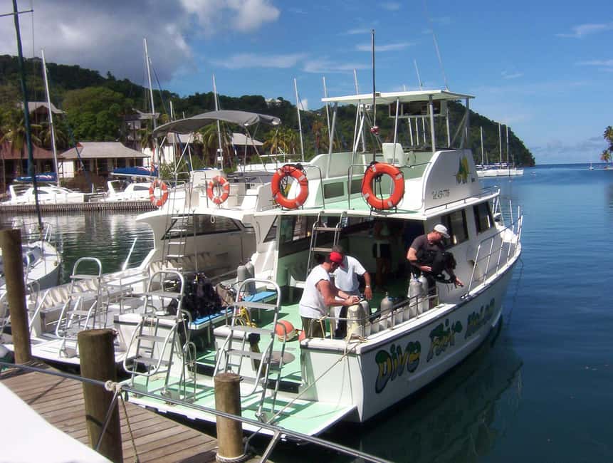 From Castries: St. Lucia Scuba Diving Excursion - Soufriere’s walls and drift water