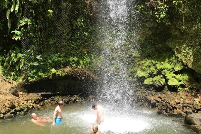 Full Day St Lucian Vibe and Culture Tour With Lunch - Is $250 a fair price?