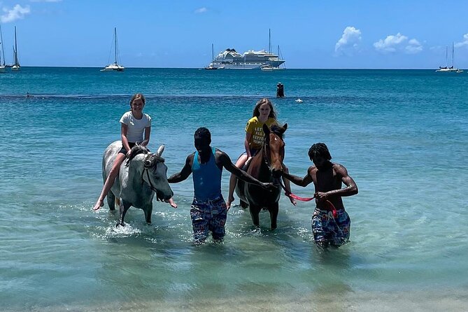 Gros Islet Village Horseback Riding run with Dore's riding Stable - Starting In Cap Estate With Coastal Views
