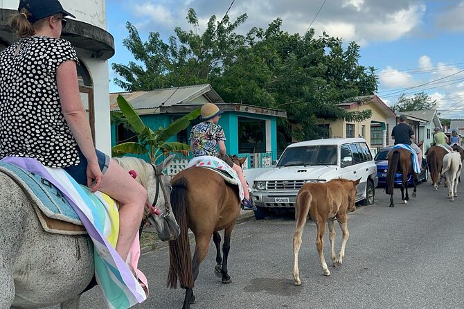 Gros Islet Village Horseback Riding run with Dore's riding Stable - The Sea Swim With The Horses