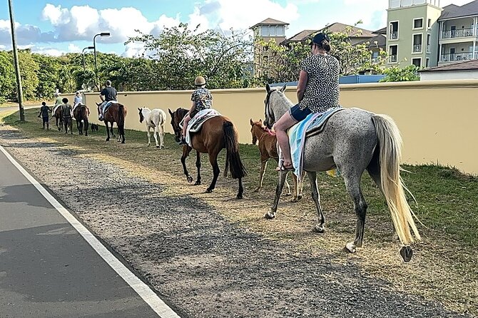 Gros Islet Village Horseback Riding run with Dore's riding Stable - Who Should Book This Horseback Ride?