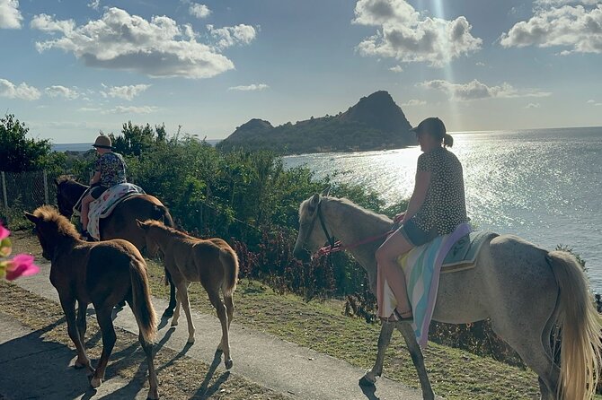 Gros Islet Village Horseback Riding run with Dore's riding Stable - Reaching Gros Islet And Its Friday Night Streets