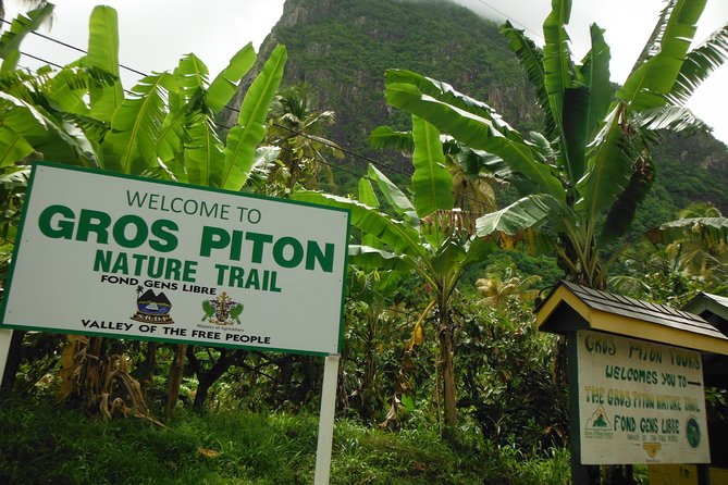 Gros Piton Hike with Dannyboy & Co. - Who should book this Gros Piton experience?