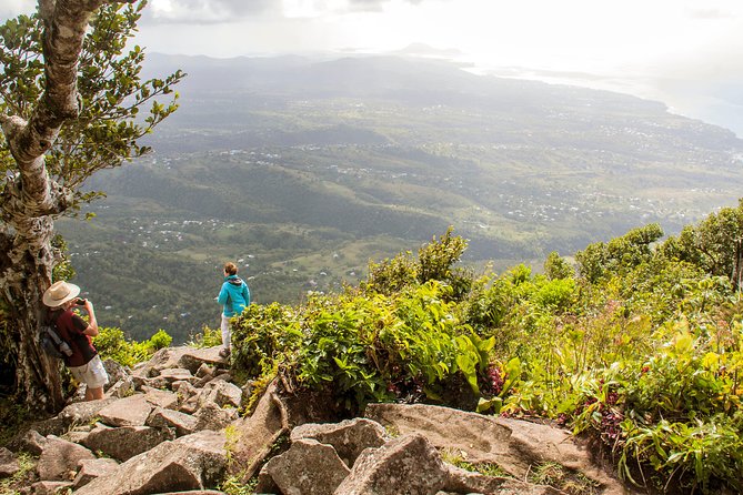 Gros Piton Hiking Adventure - Fond Gens Libre Explains More Than Plants
