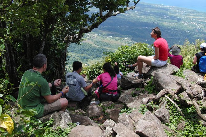 Gros Piton Hiking Adventure - The Upper Climb Is a Serious Test