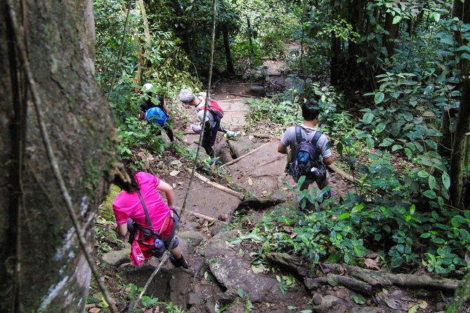 Gros Piton Hiking Adventure - The Lower Gros Piton Trail Gives You Time to Settle In