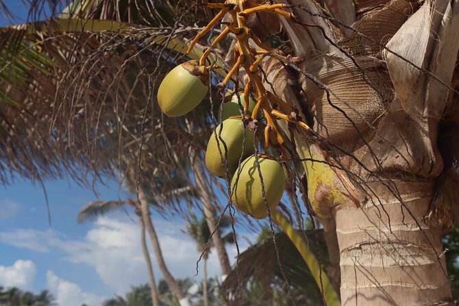 Hewanorra International Airport (UVF) Private St.Lucia Transfers. - A private ride, not an island excursion
