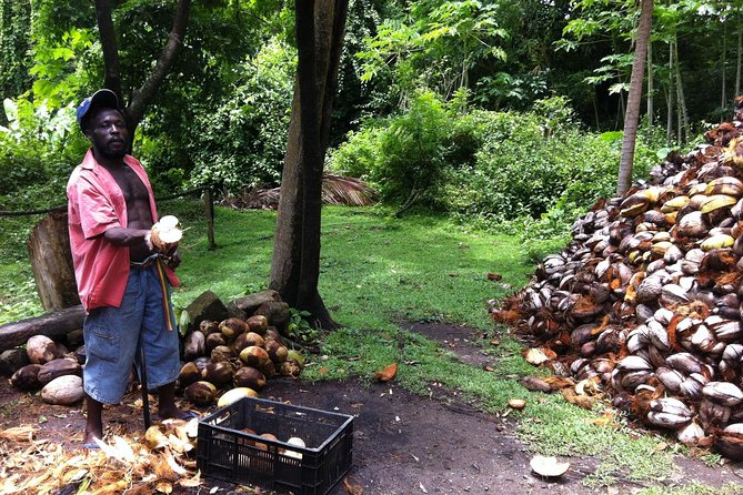 Historical 18th Century Estate Tour with Coconut Tasting - Coconut processing is the tour’s most memorable demonstration